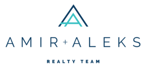 Amir_Aleks_Logo-01